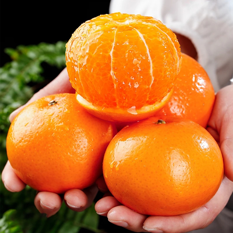 正宗哀牢山高原沃柑应季头茬新鲜水果产地直发新鲜采摘源头发货商品图