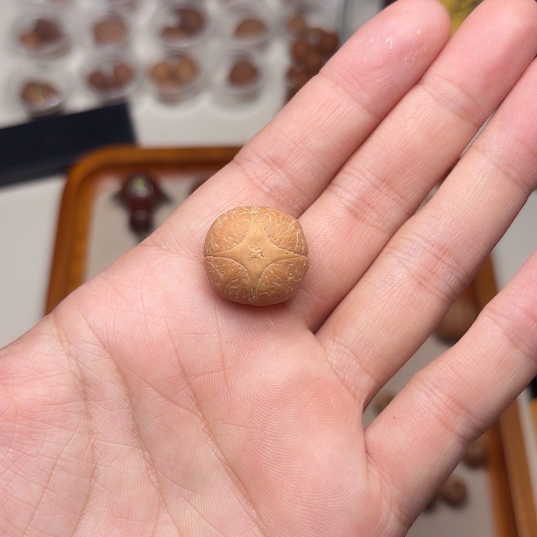 生***？凤眼菩提手串麒麟三通20