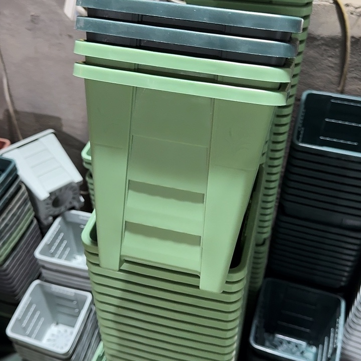 方19口径10个无托浅绿