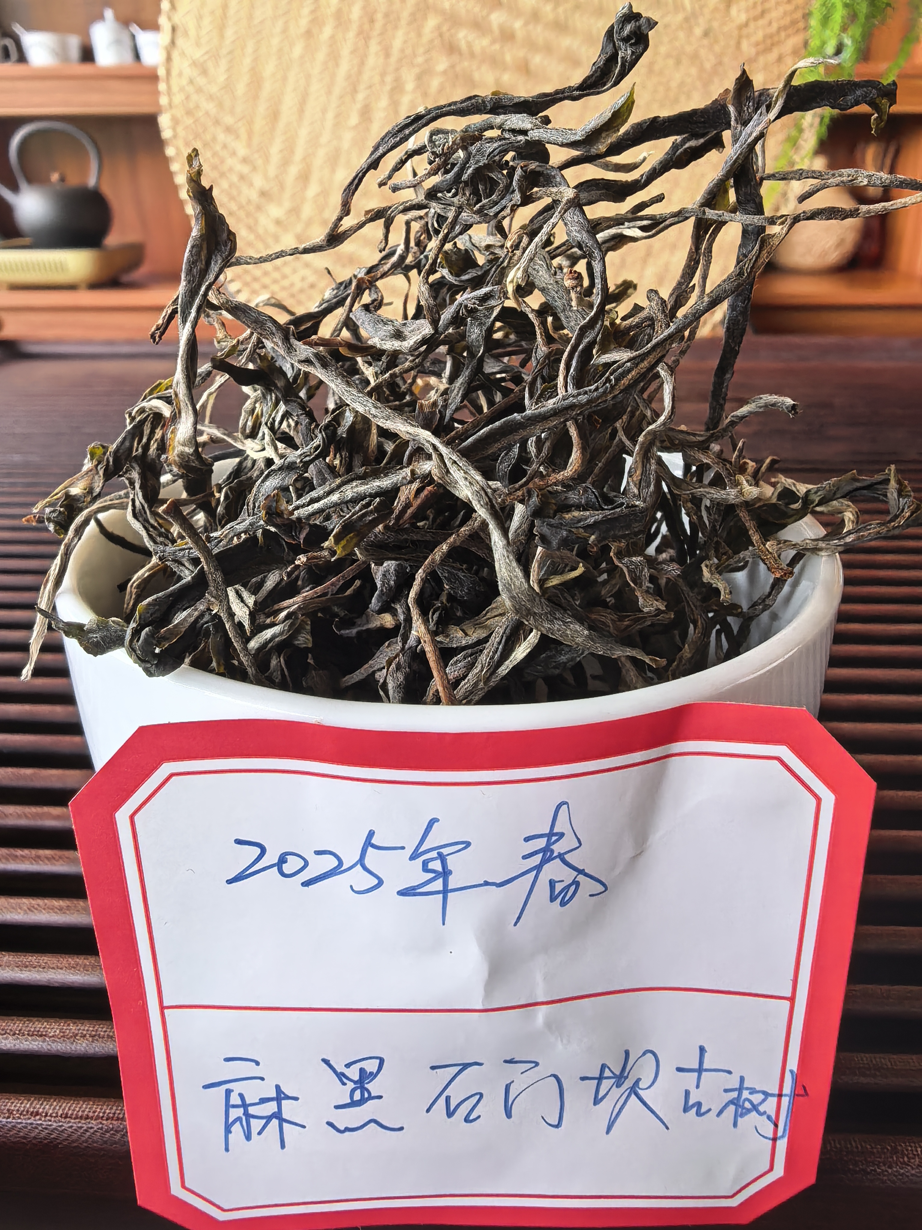 普洱茶2025年麻黑石门坎古树春