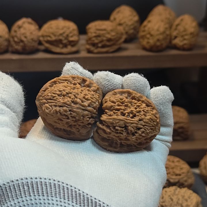小***喽涿鹿南疆石变异妖刀全家福