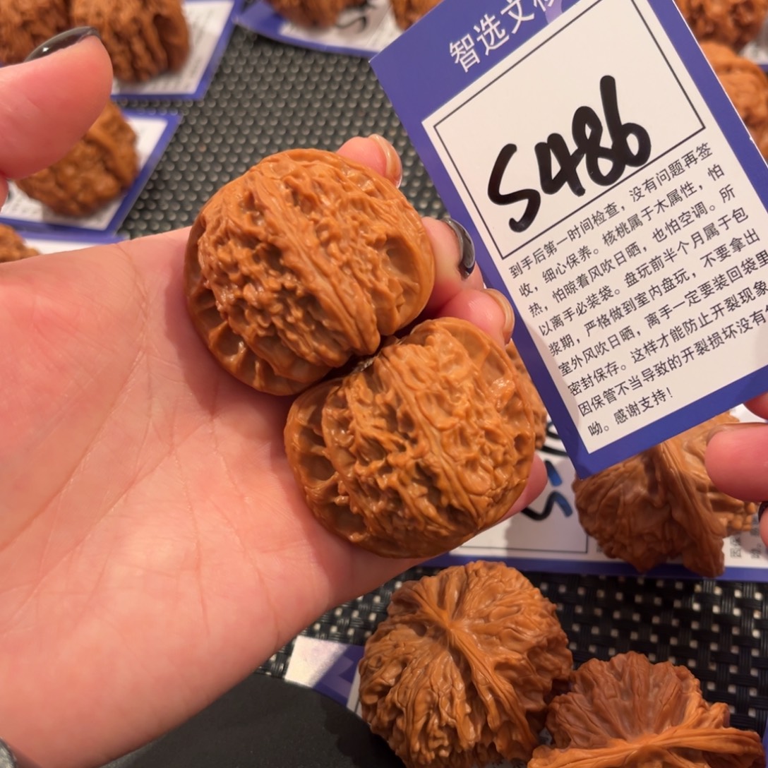 核桃S486号白狮子子42尺