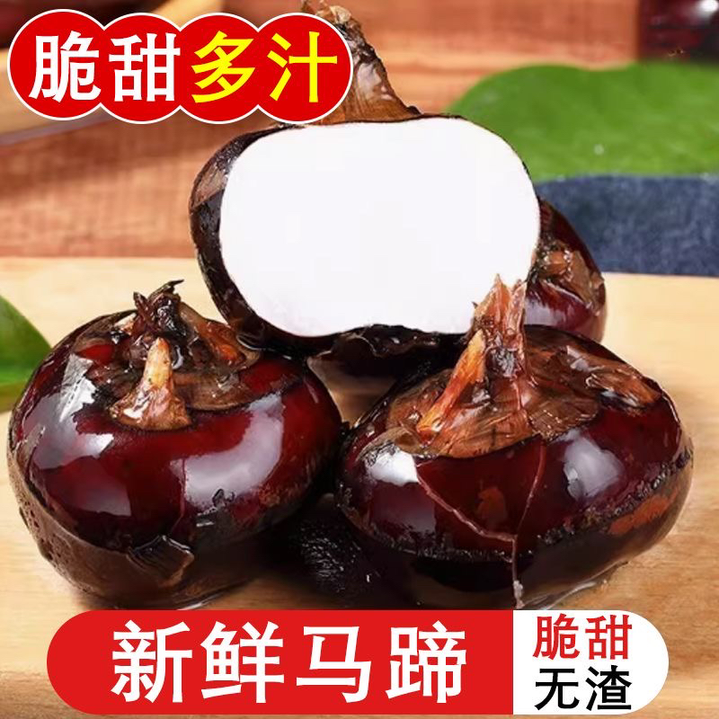 现挑马蹄500g ±15g新鲜