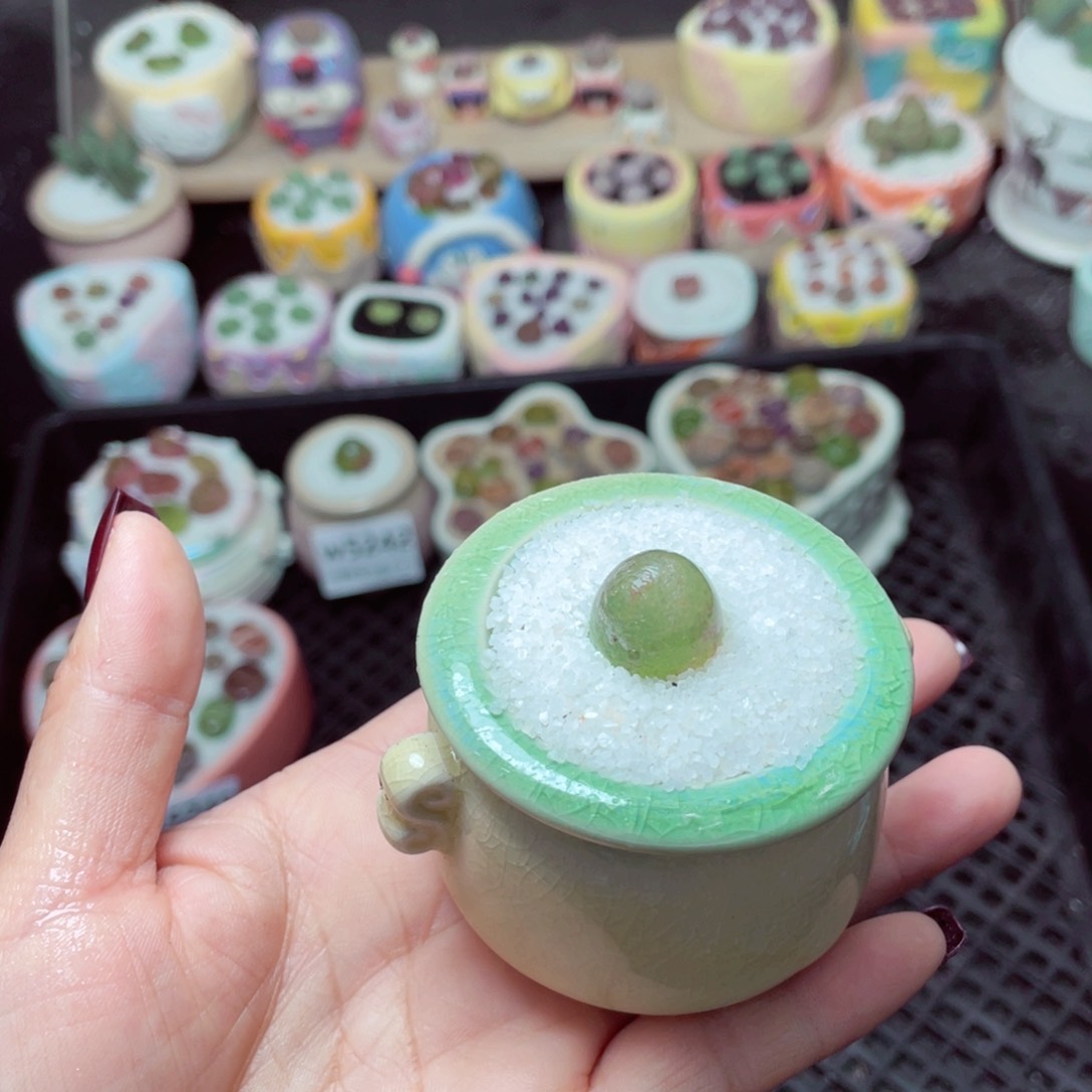 w5246 -零下地区拍保温箱-15支持寄养