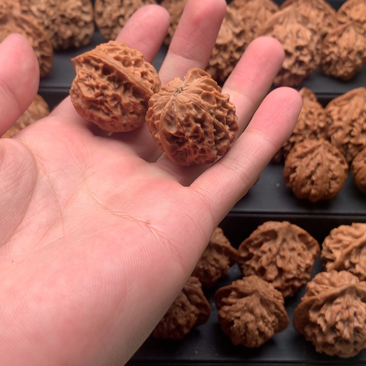 其他核桃观*海秦岭小金豆