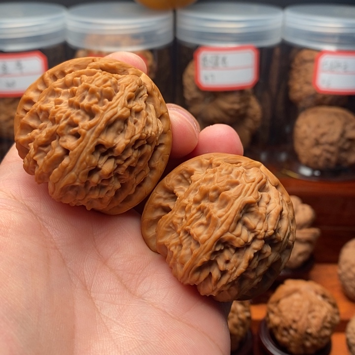 核桃麻核桃白狮子43尺