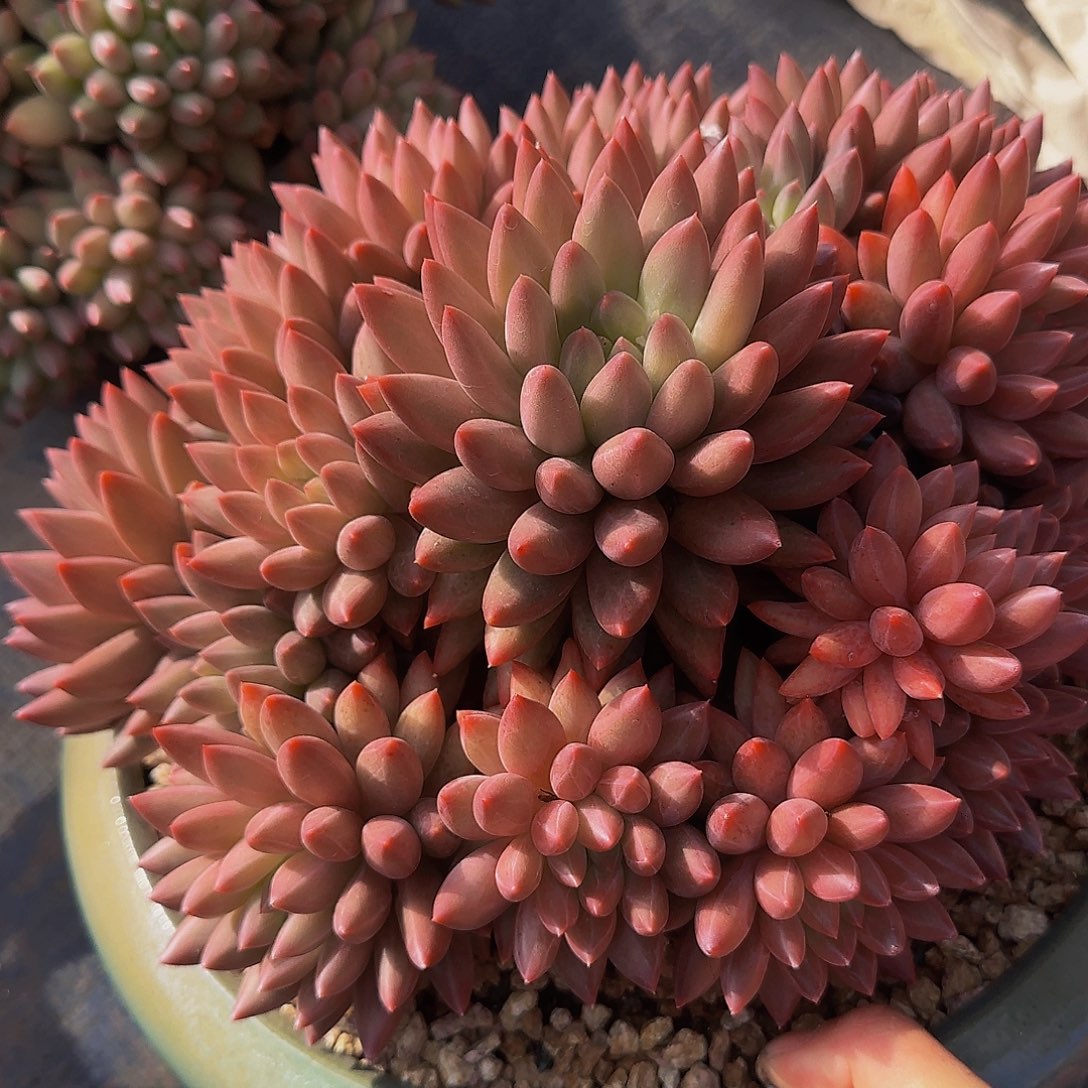 勇***敌太开心喔莫问我小杨小杨小杨小杨小杨我