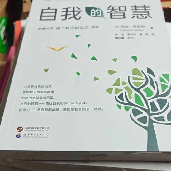 自我的智慧，平装塑封