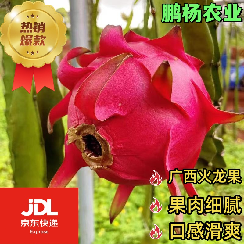 精选红心火龙果 | 果肉饱满 | 口感清甜 | 自然成熟