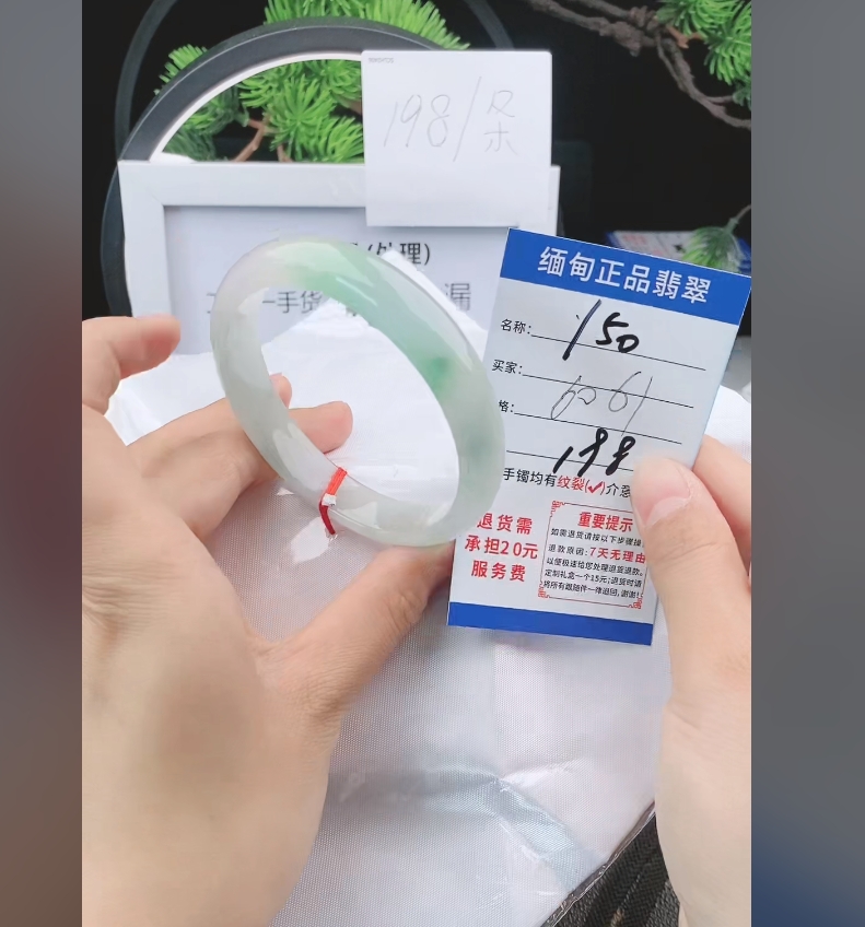 Y50缅甸翡翠手镯处理198/条【一物一证】实物以直播间为准