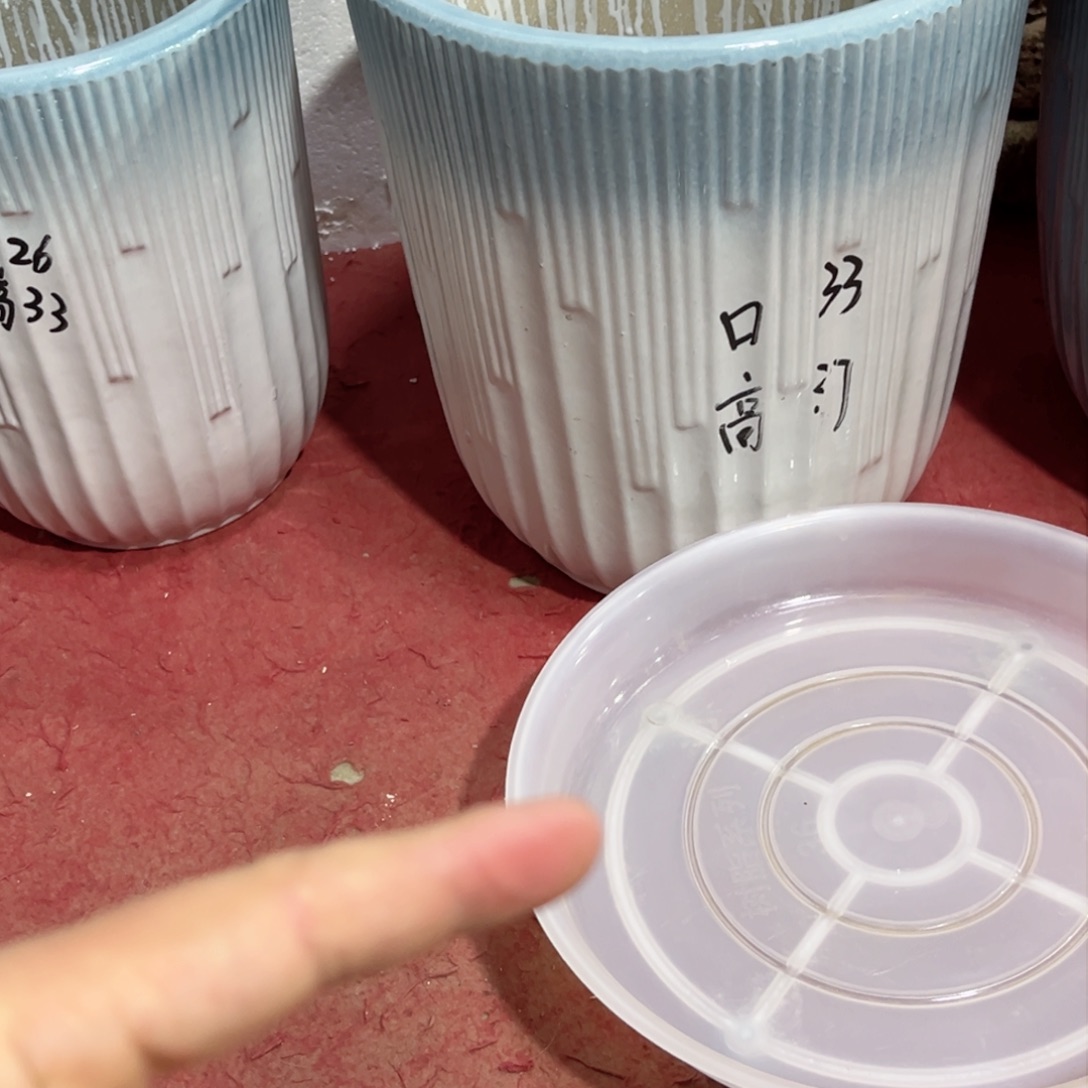 忧***睛音符大号带轮托盘