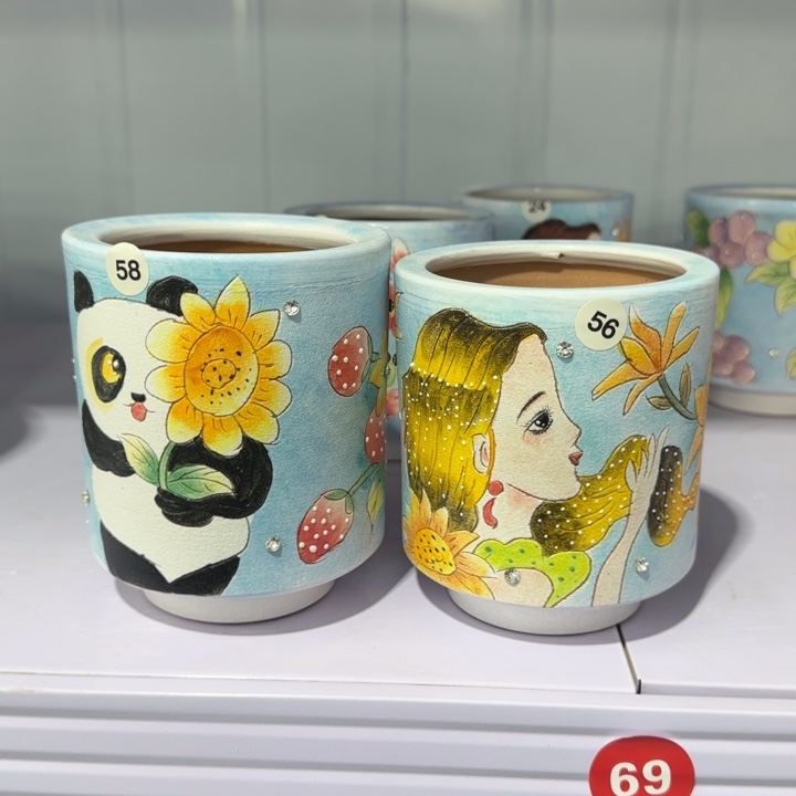 红陶田小姐多肉花盆