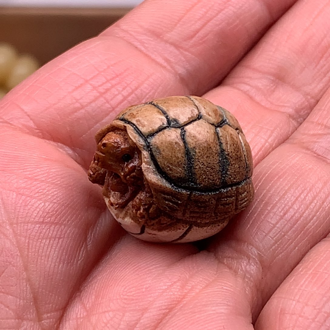 其他鹿骨20鹿角富甲单珠