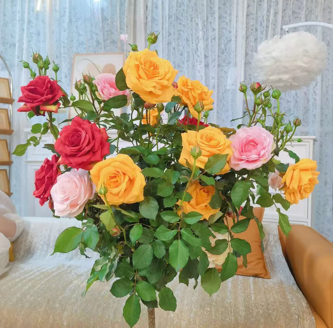 【80-1米带花苞】一树多色月季花棒棒糖四季开花大花浓香带土球