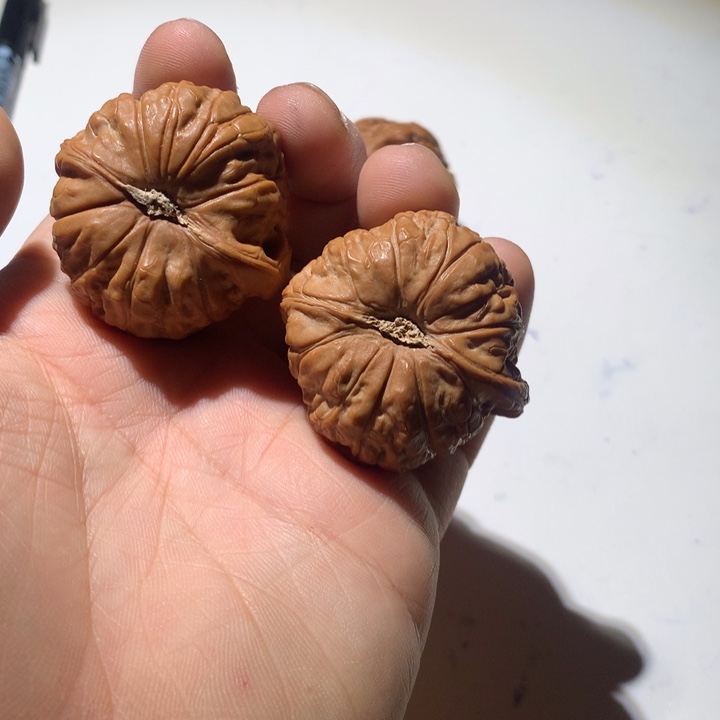 把件文玩核桃南瓜墩