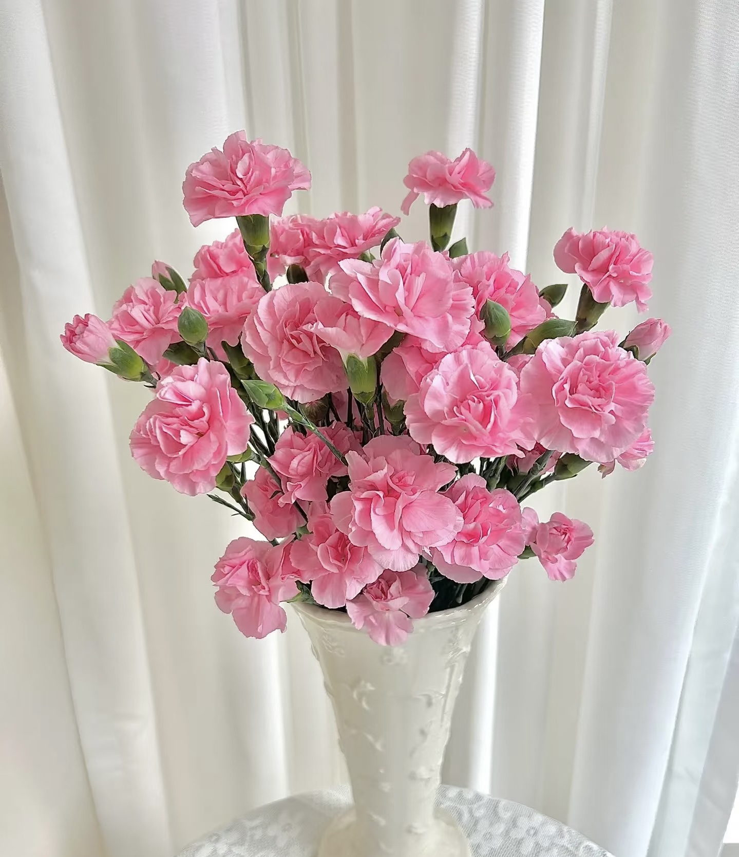 珍珠粉多丁康乃馨昆明基地直发