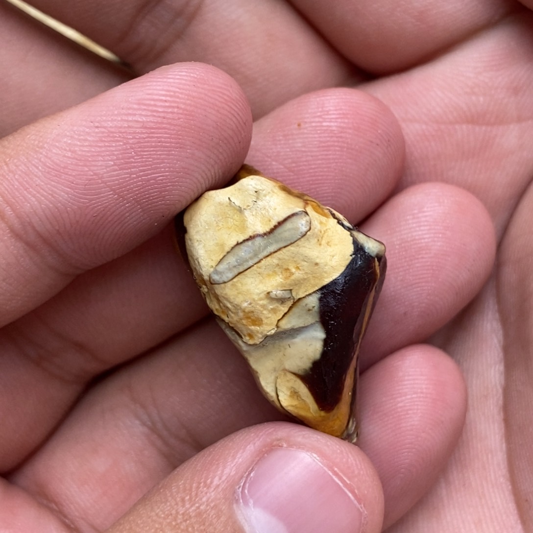 定制琥珀未镶嵌定制