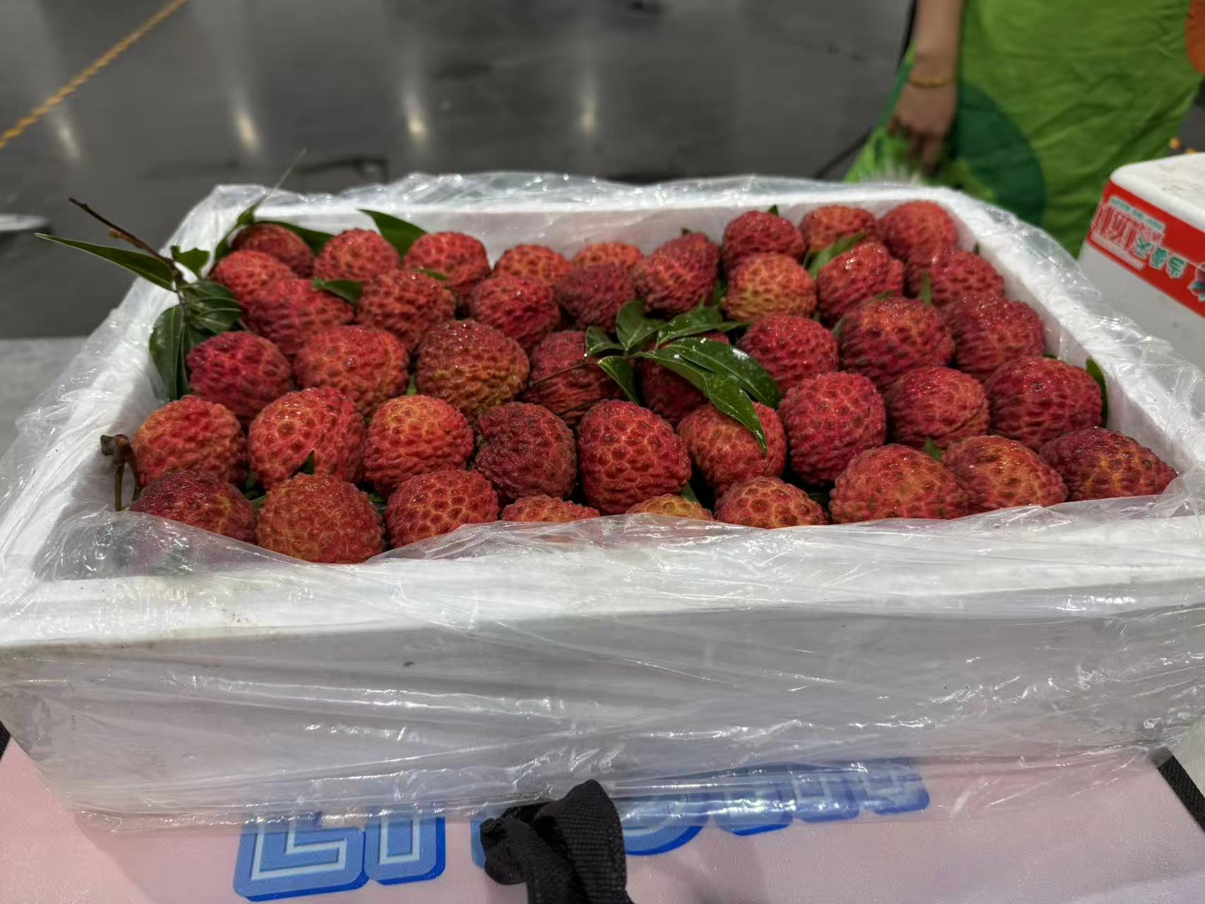 【坏果包赔】海南海口空运火山荔枝王2斤分装/5斤原箱