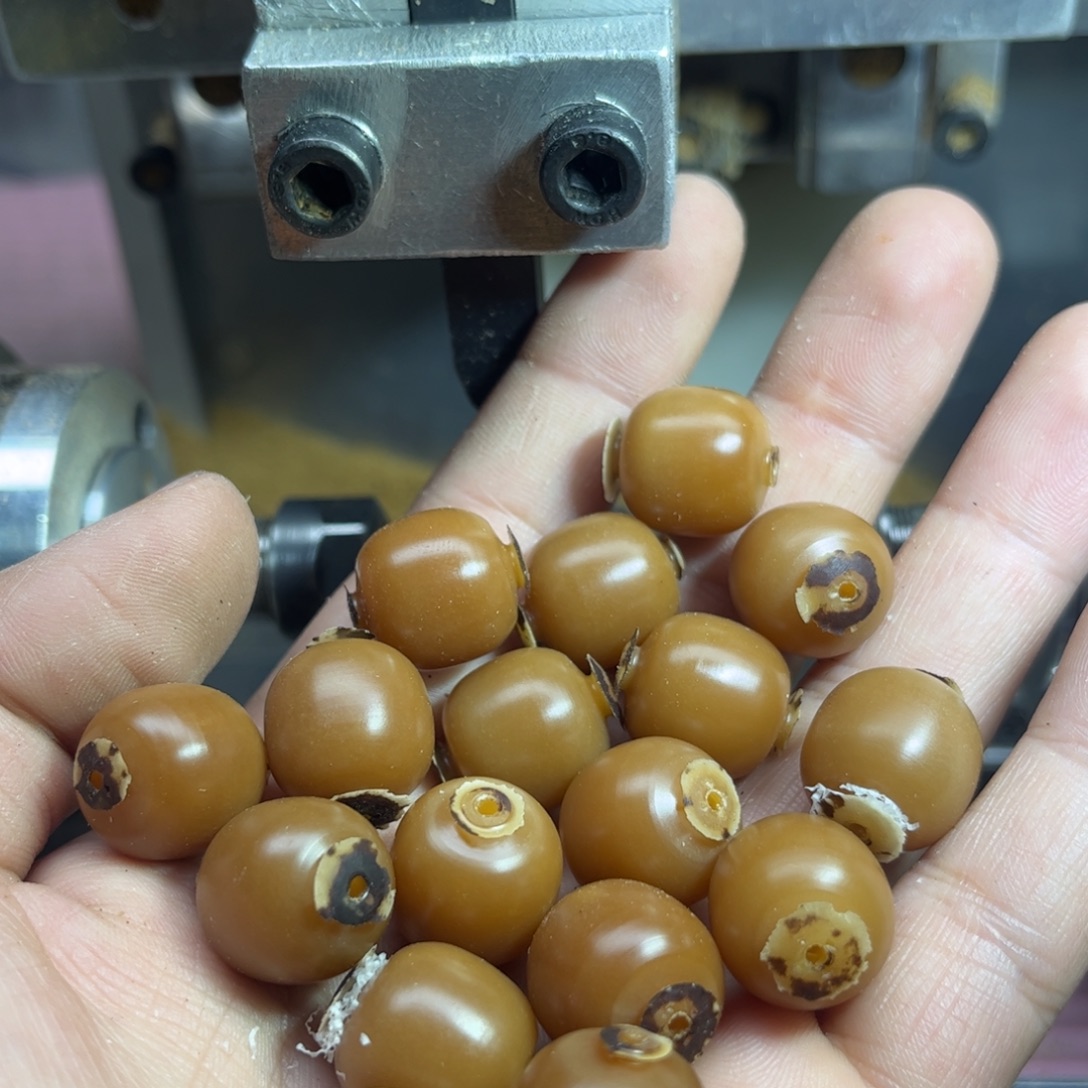 田***鱼菩提根/象牙果手串