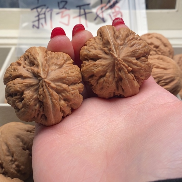 雪***兰把件文玩核桃霸王龙