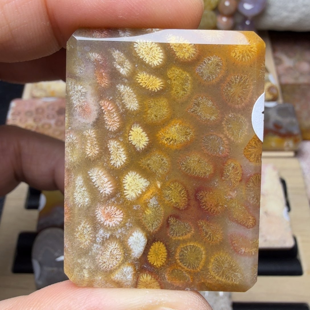 硅化玉未镶嵌纯天然色有机玉石保真色枫叶与豹纹