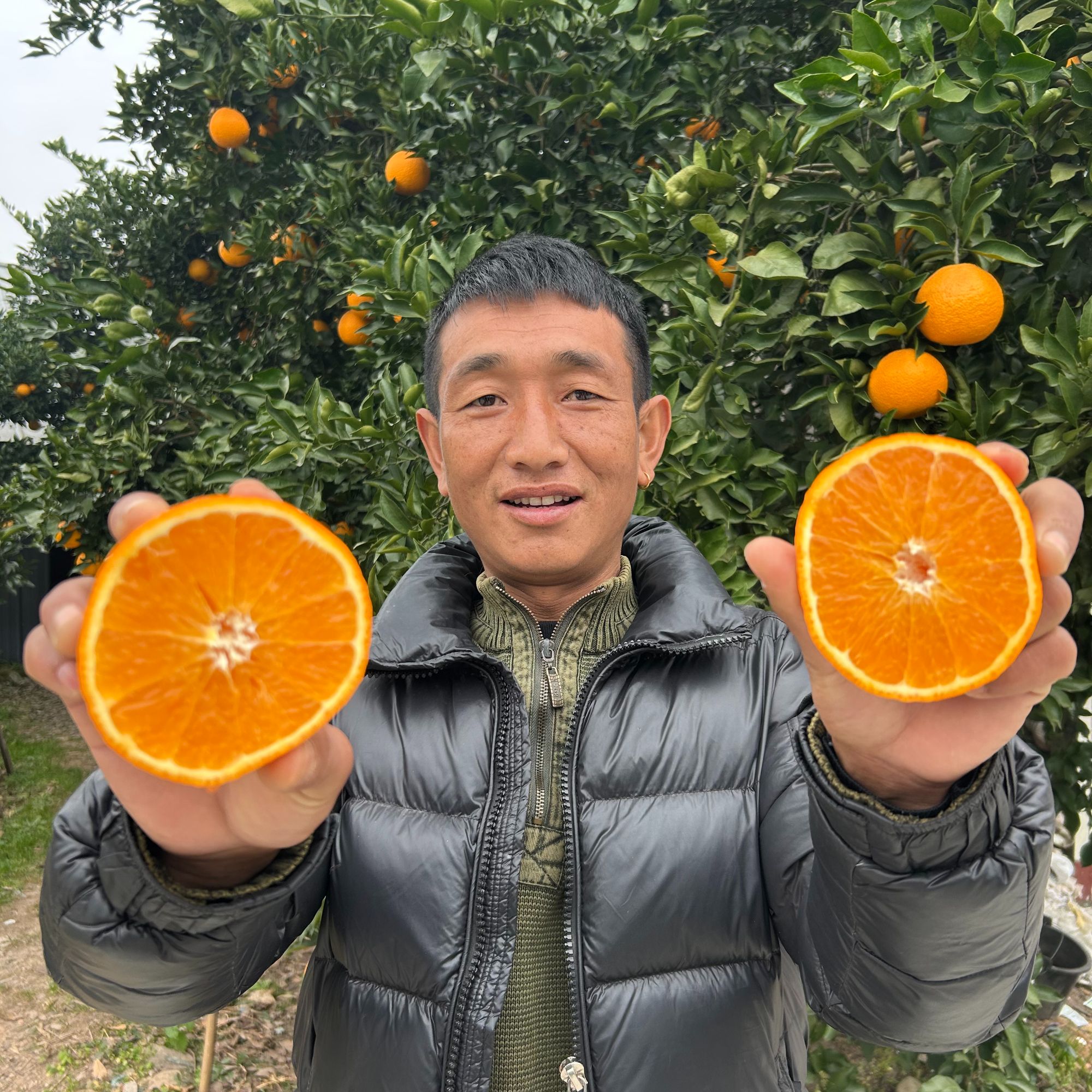 正宗四川爱媛38号果冻橙新鲜当季水果爆汁现摘现发孕妇水果