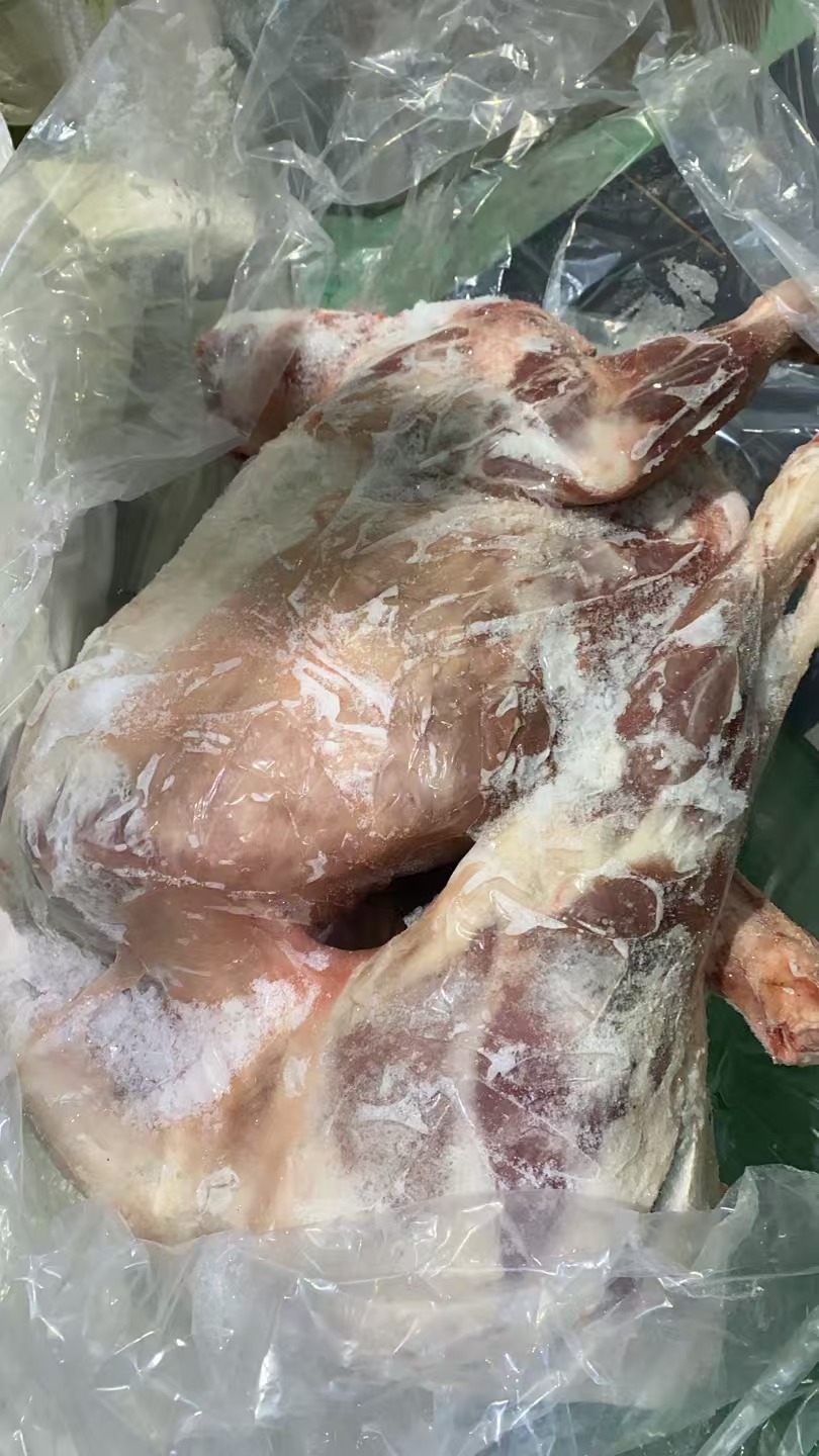 【呼伦贝尔草原羔羊全羊/半羊冻条羊+8.5公斤】+整扇/切片+30%腿排