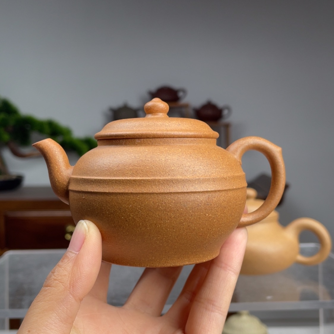 【闪购商品】紫砂茶壶晓*星金黄段玉带容量140cc