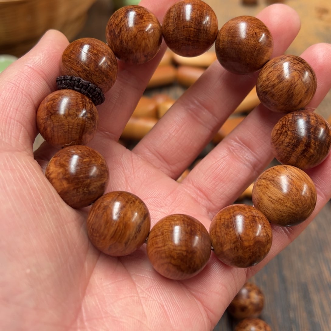 太行崖柏陈化太行