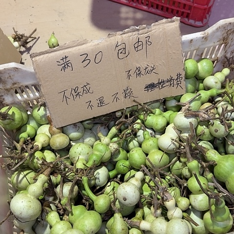 ༺***༻葫芦大哥说要带上一箱来看他的葫芦