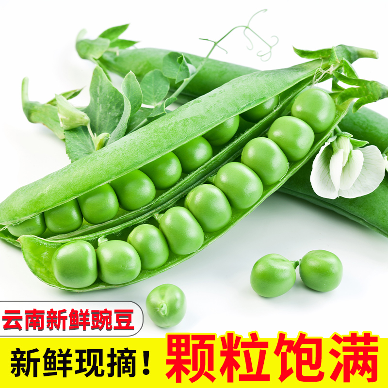 豌豆新鲜云南带壳青豆角粒农家蔬菜水果甜豆荚嫩5斤当季整箱包邮