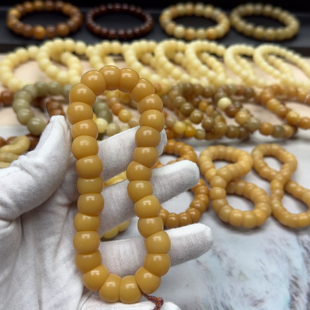 菩提根/象牙果吊坠卡13 福利款 11年