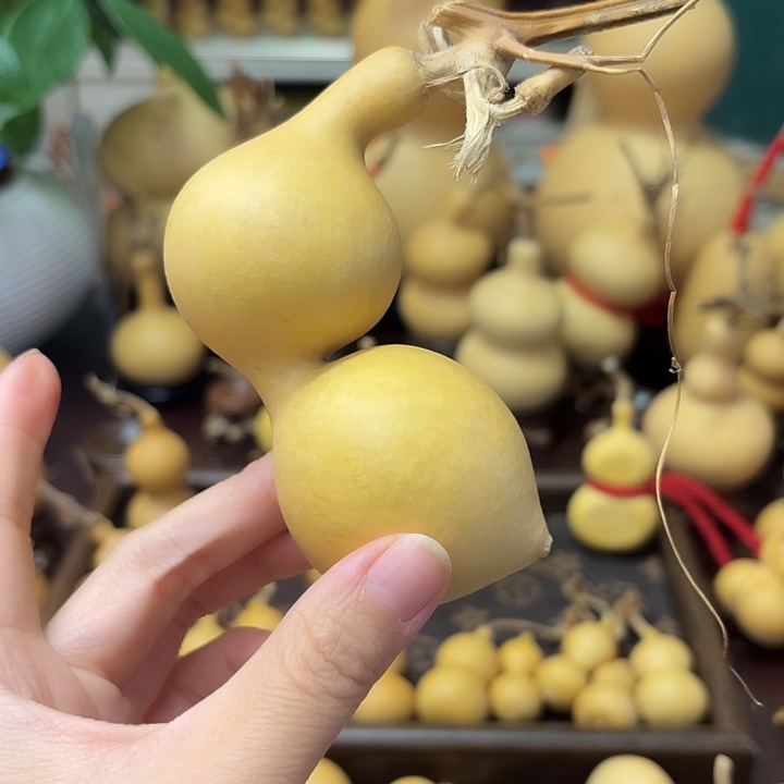 马***y弓背蚂蚁精品葫芦