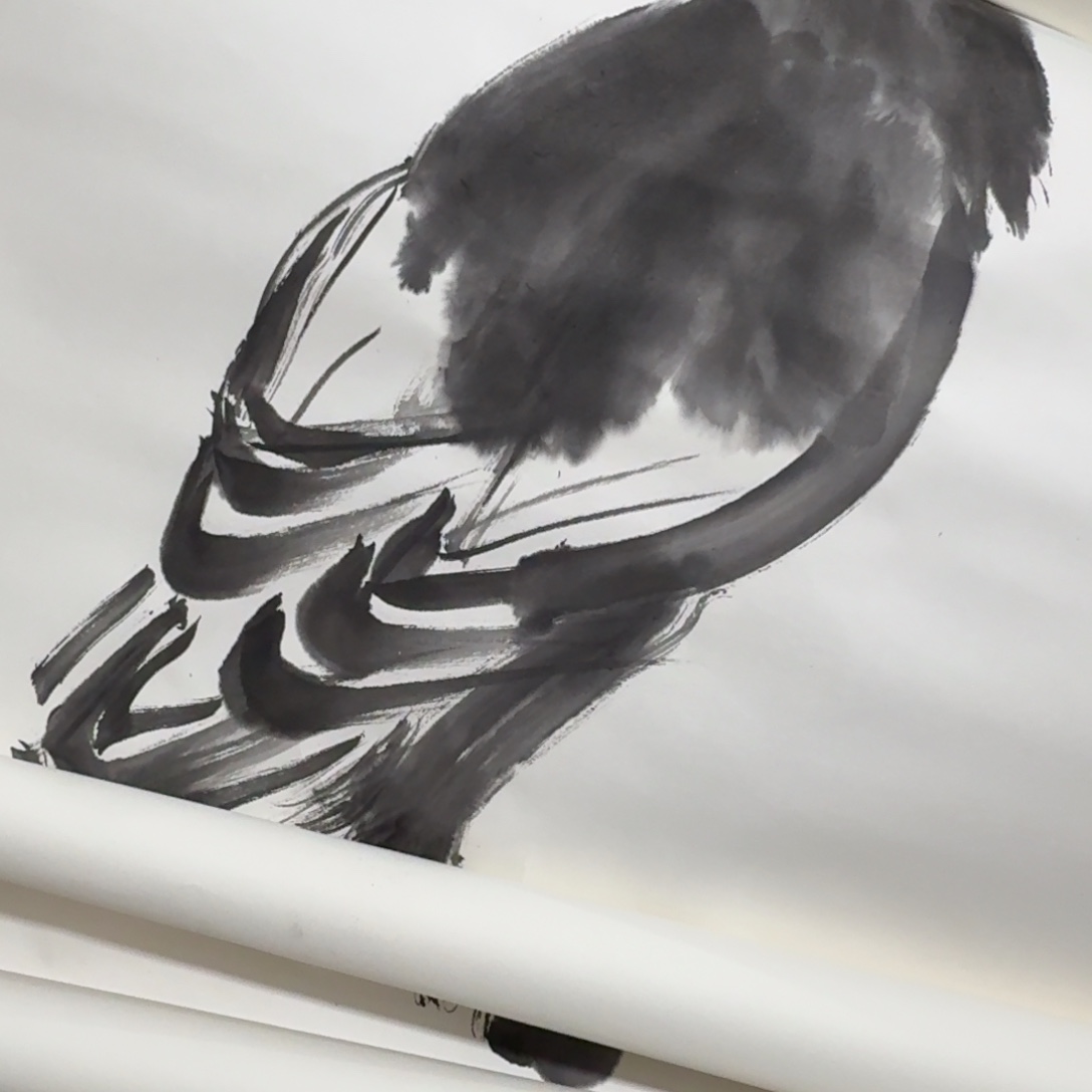 H***W杂色豆（科檀/科特迪瓦檀木）