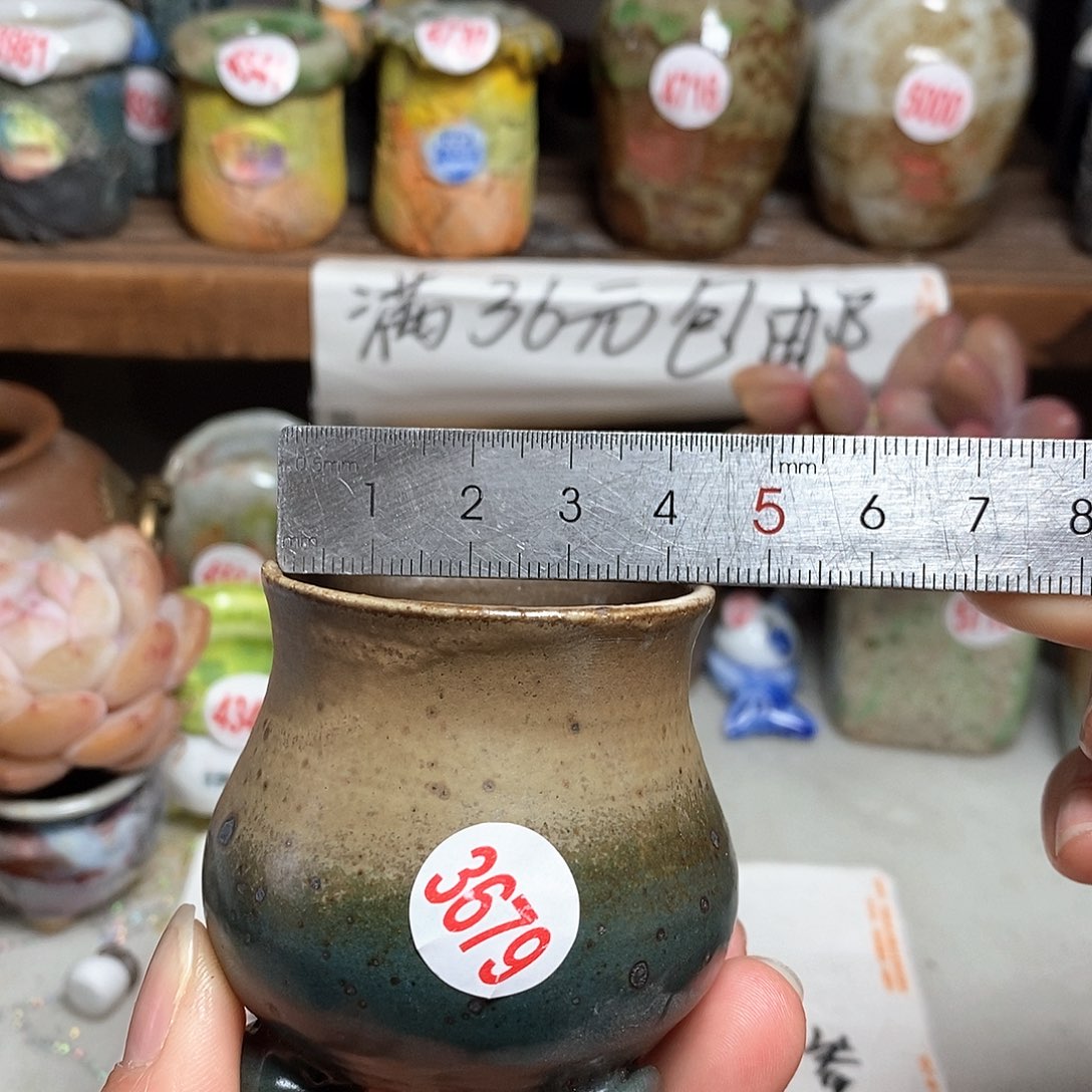 红陶拍5送一个小