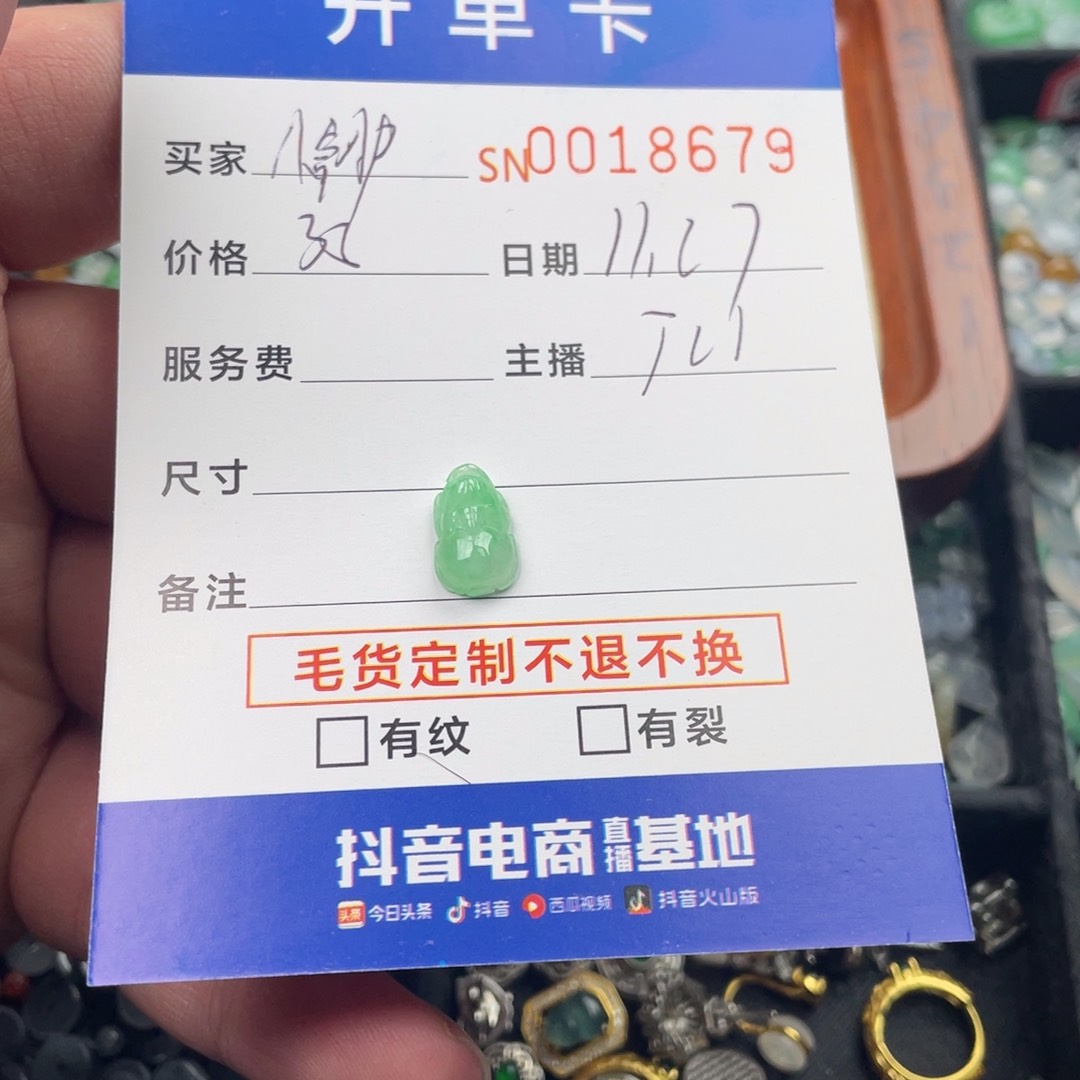 颈饰未镶嵌翡翠✨****?