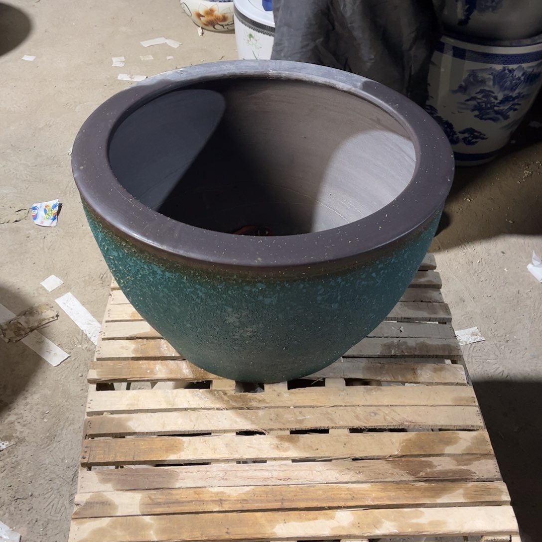 瓷片兰泡52.8888888888