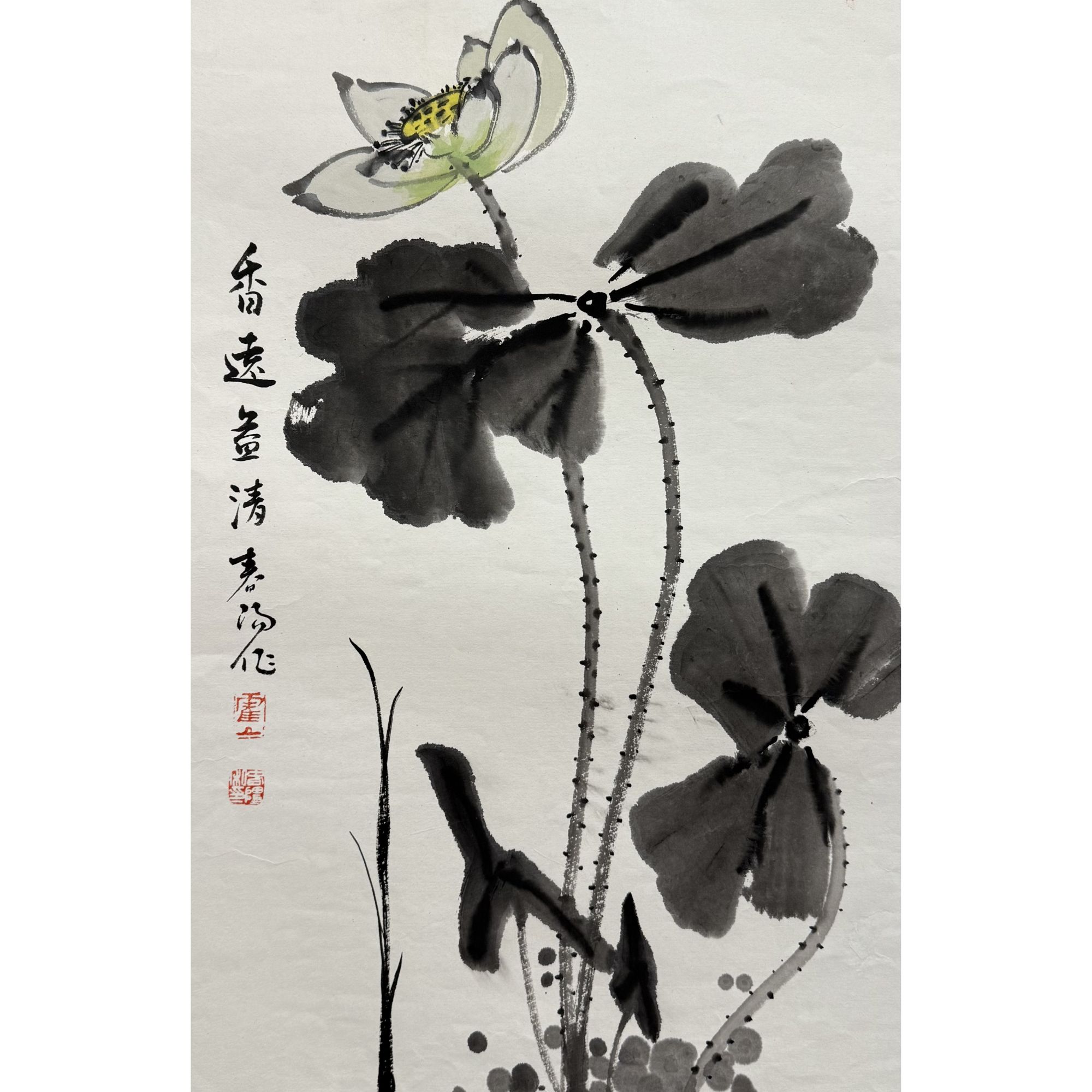 【花鸟】  46x70  CP-40117  画片