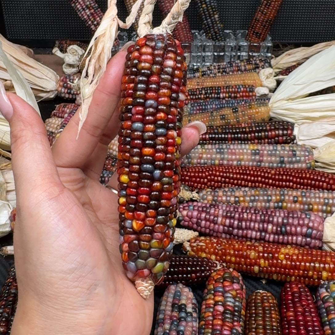 柏香籽/百香籽吊坠娟