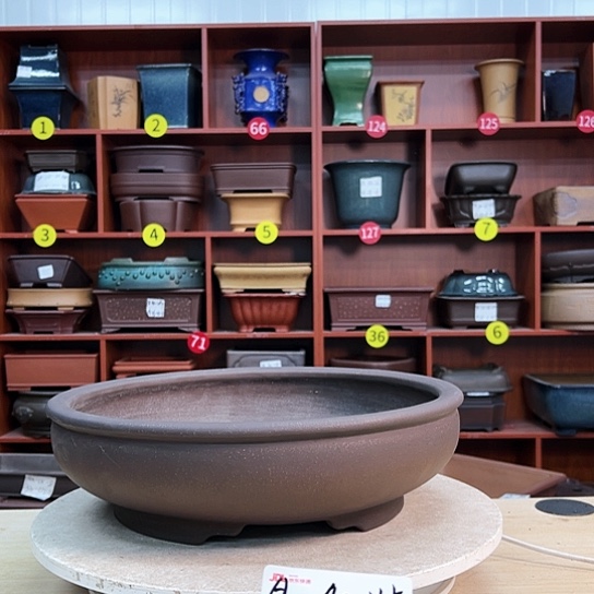 红陶通****方紫砂花盆里放上几