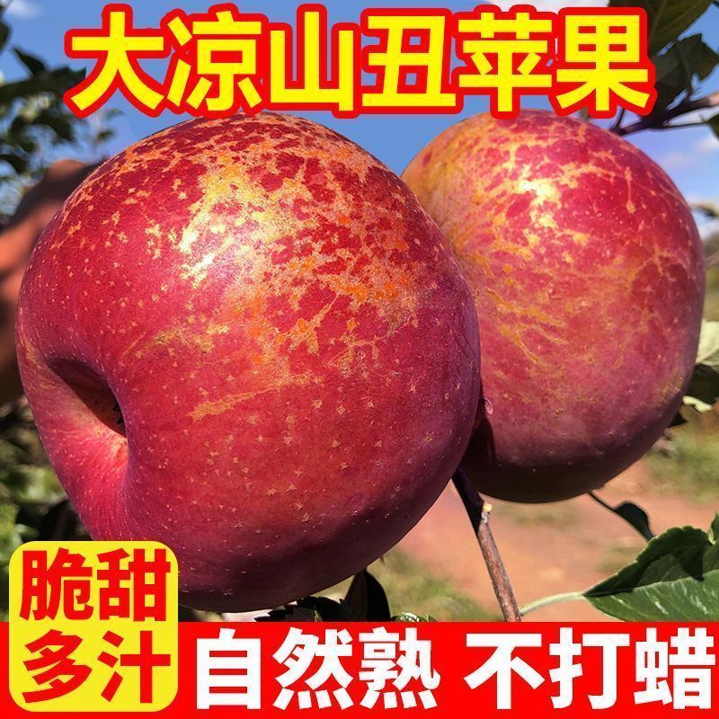 【丑苹果】大凉山高山丑苹果脆甜多汁新鲜现摘当季水果甜脆苹果