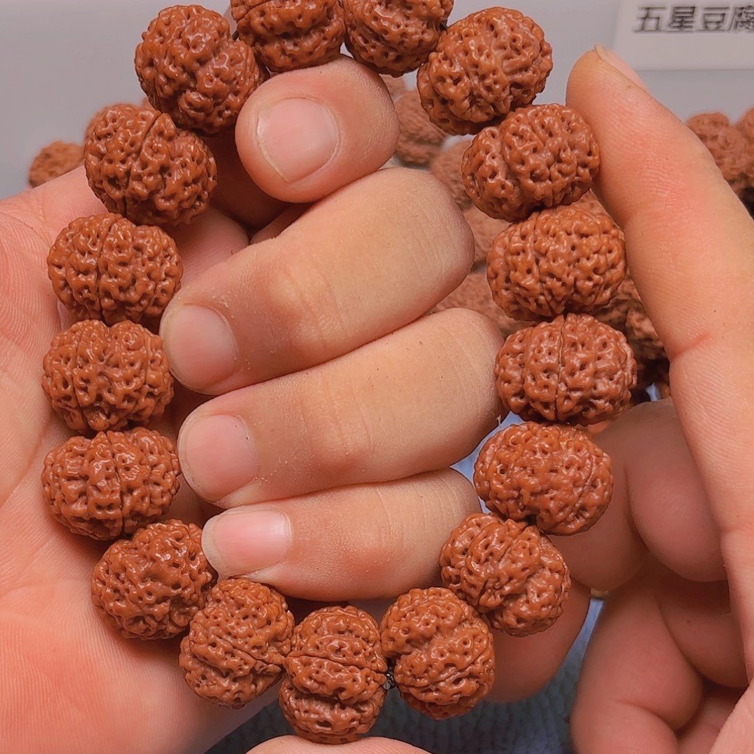 手串金刚菩提V052/21mm 五星梅花