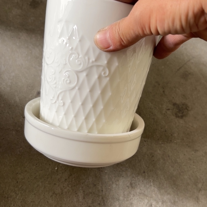 碟微瑕介意勿拍……筷子同