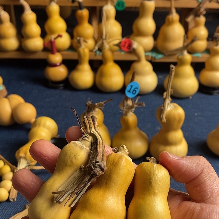 地***产1111111111111111111