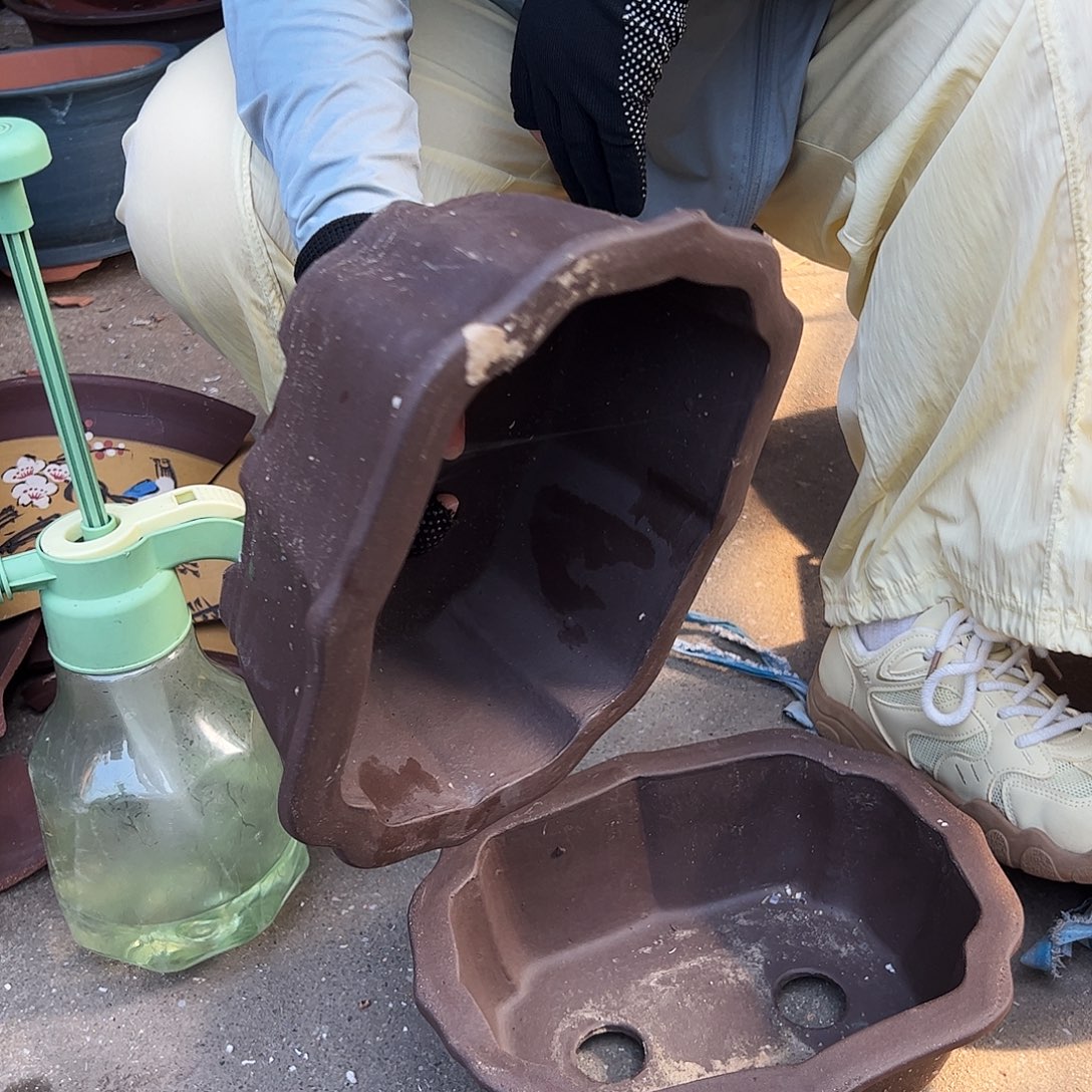 28-28莲花花盆花盆花盆