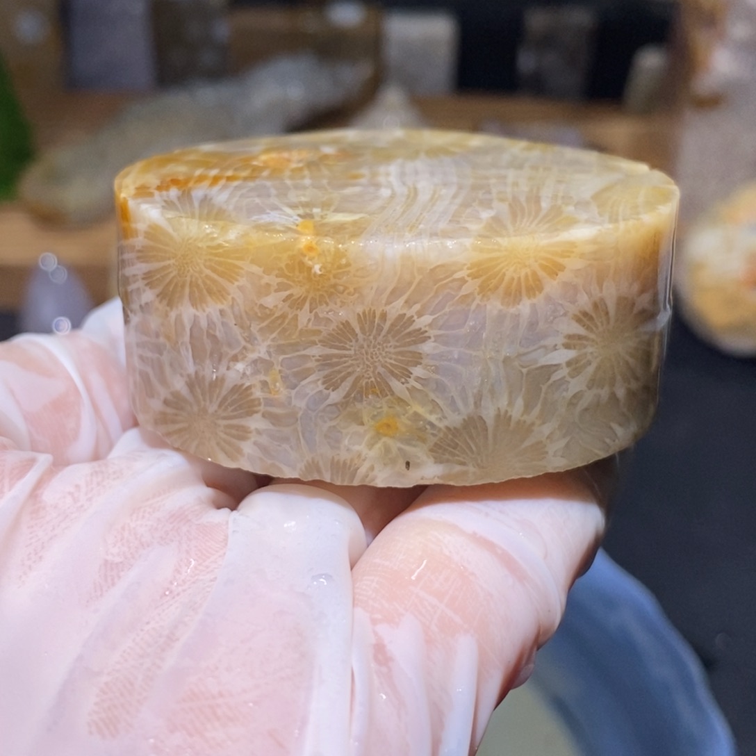 【闪购商品】硅化玉颈饰未镶嵌