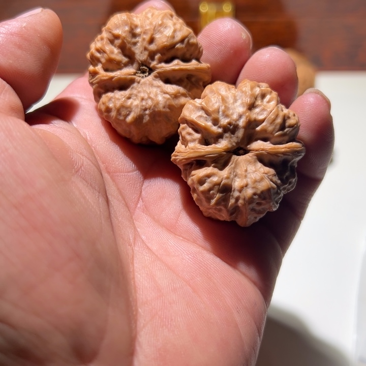 文玩核桃把件蛤蟆头