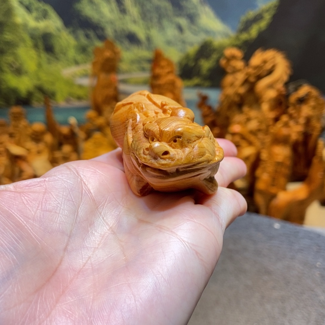 柏木（崖柏）精品太行崖柏