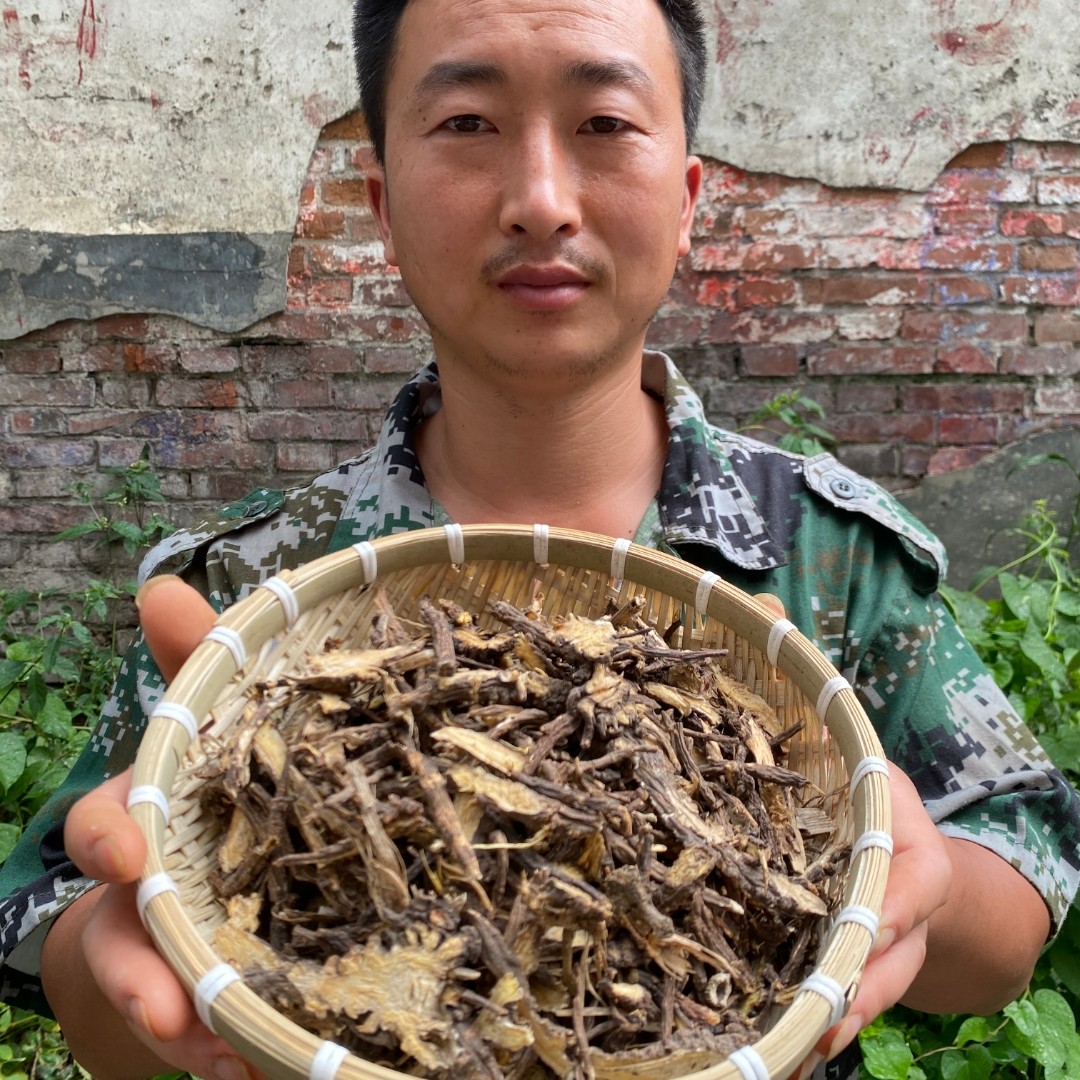 藁本 东北藁本 水洗切片当季新货正宗藁本