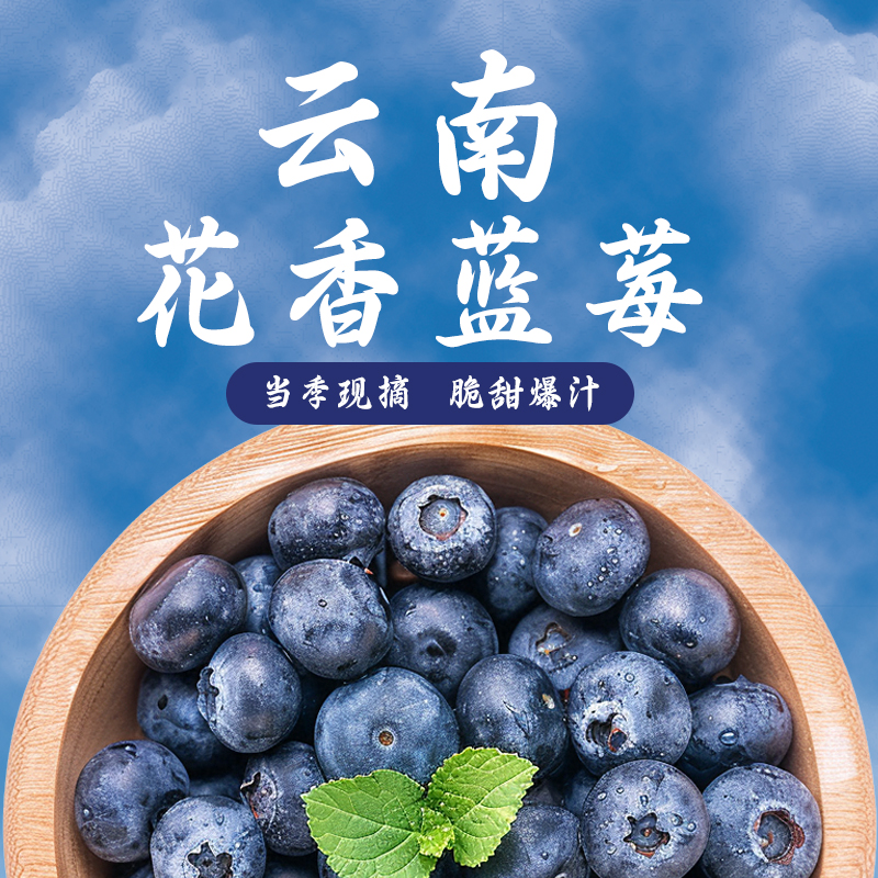 云南高山露天蓝莓云南蓝莓脆甜 新鲜现摘产地直发水果花香蓝莓